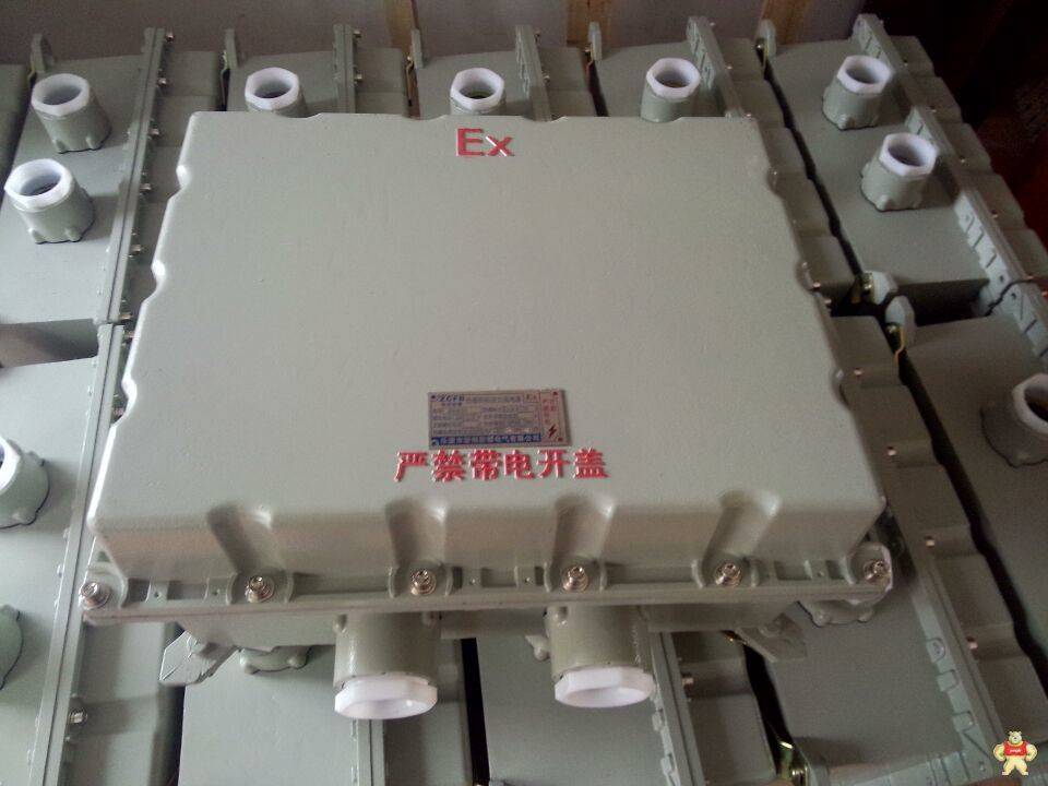钢板防爆接线箱定做 防爆接线箱定做制造厂 钢板防爆接线箱,钢板防爆接线箱,钢板防爆接线箱,钢板防爆接线箱,钢板防爆接线箱