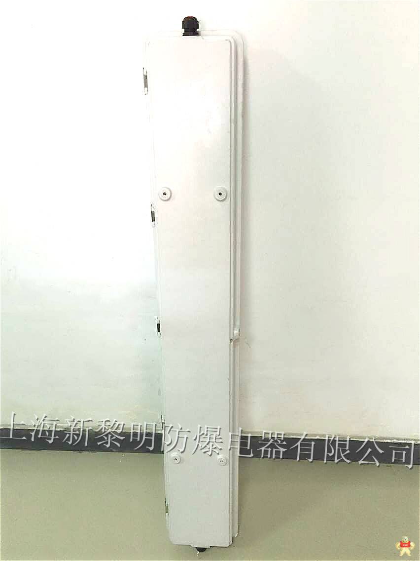 新黎明BYS-2*40W防爆防腐全塑应急荧光灯 BYS防爆防腐全塑荧光灯,防爆荧光灯灯,防爆防腐荧光灯