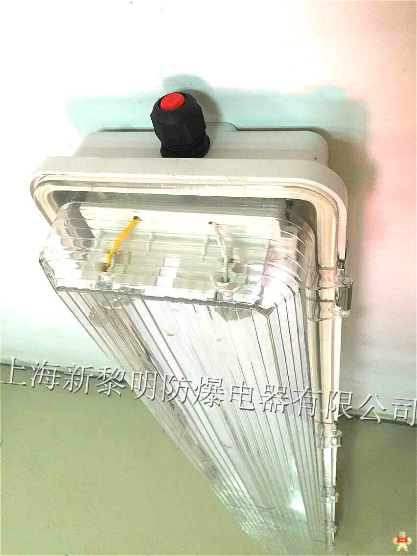 新黎明BYS-2*40W防爆防腐全塑应急荧光灯 BYS防爆防腐全塑荧光灯,防爆荧光灯灯,防爆防腐荧光灯