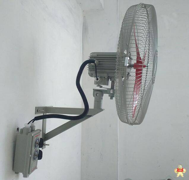 浙江厂家直销BTS防爆摇头扇 高风量防爆摇头扇 落地式防爆摇头扇