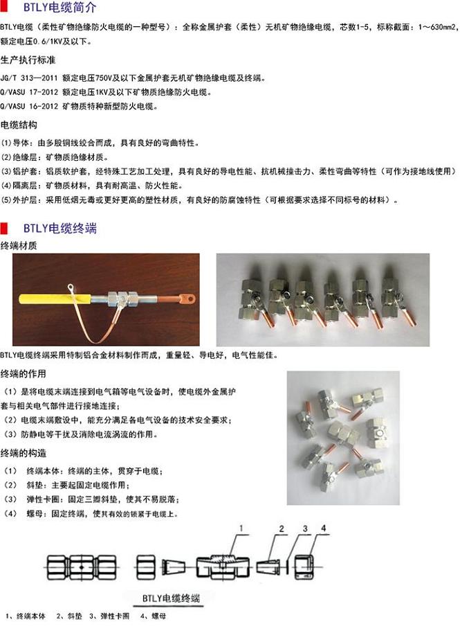 邢臺礦物質(zhì)電纜附件 BTTZ電纜終端頭