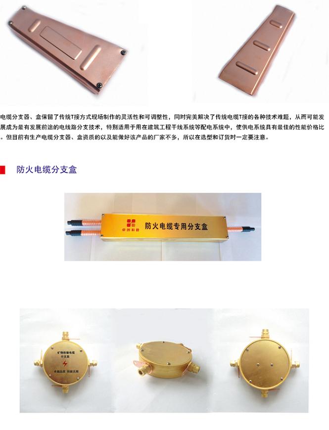 雞西 BTLY礦物質(zhì)電纜頭 NG-A電纜接地終端