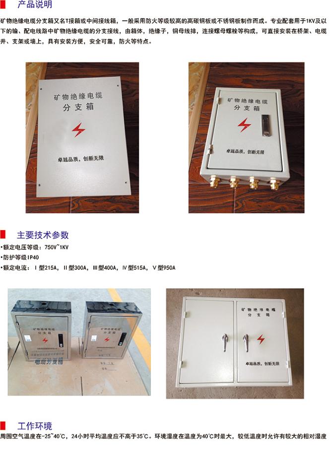 邢臺礦物質(zhì)電纜附件 BTTZ電纜終端頭