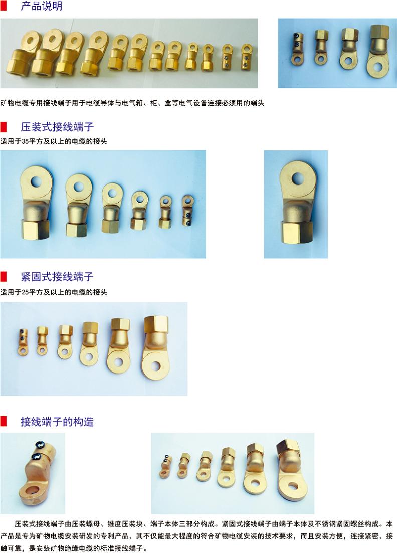 邢臺礦物質(zhì)電纜附件 BTTZ電纜終端頭