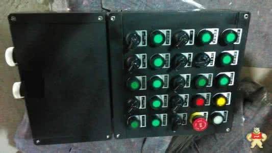 防腐照明控制箱 总开一个DZ47/4P/16带漏电分开3个1P6A浪涌一只
