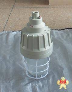 BAX81隔爆型防爆灯-光源可以选配 节能灯 高压钠灯 金卤灯