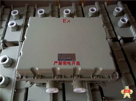 防爆接線箱隔爆型防爆接線箱300*400鋁合金材質(zhì)佩戴碳鋼壓緊螺母 隔爆型防爆接線箱,防爆接線箱,鋁合金材質(zhì)防爆接線箱,300*400防爆接線箱