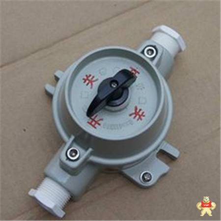 防爆照明开关  SW-10防爆照明开关 SW-10防爆照明开关,防爆照明开关,防爆开关,防爆照明开关厂家