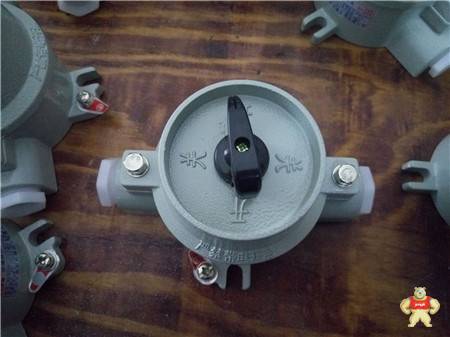 防爆照明开关  SW-10防爆照明开关 SW-10防爆照明开关,防爆照明开关,防爆开关,防爆照明开关厂家