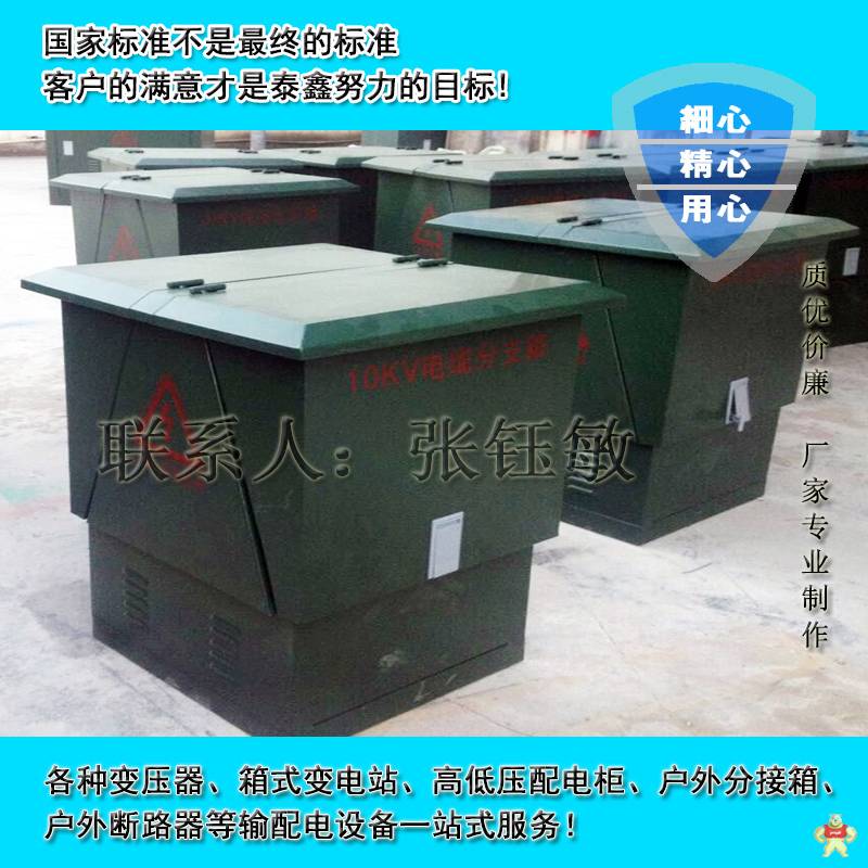 榆林DFW電纜分接箱廠家 高壓戶外電纜分支箱價(jià)格 電纜分接箱,高壓分接箱,電纜分支箱,高壓分支箱,戶外分接箱