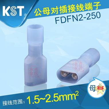 台湾KST FDFN2-250尼龙插簧公母全绝缘端头接线器 冷压接线端子