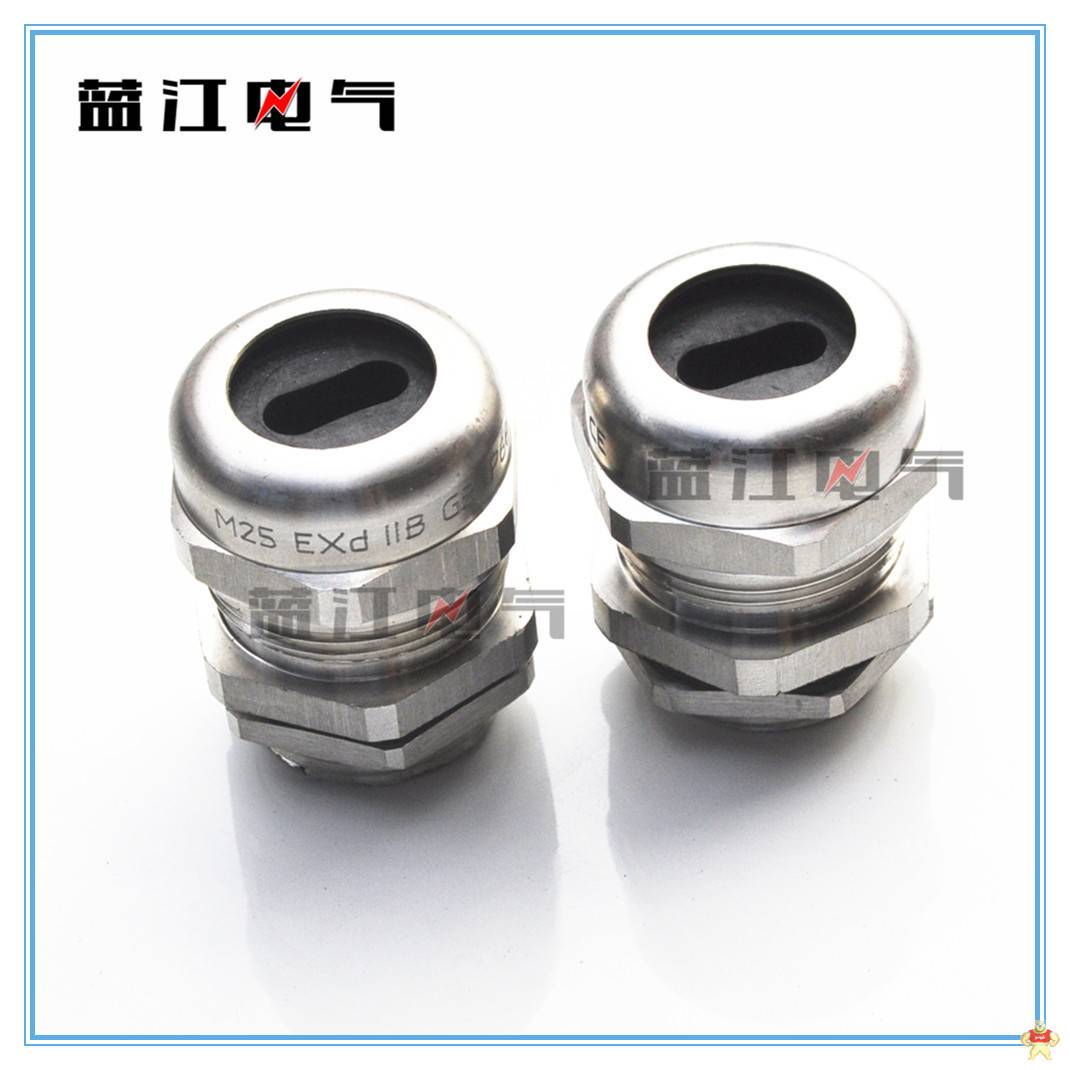 蓝江扁孔葛兰头G1/2G3/4G1不锈钢扁电缆防水接头DN15DN20扁电缆固定头 G1/2不锈钢电缆防水接头,G1扁孔不锈钢电缆密封接头,ND15扁孔电缆固定头,G3/4扁孔防水葛兰头,ND20不锈钢电缆格兰头
