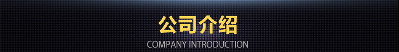 公司介绍