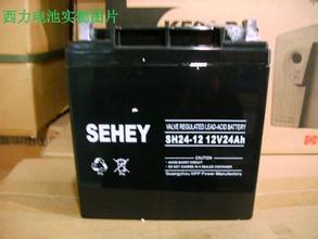 供應(yīng)西力蓄電池SH38-12/12V38AH鉛酸免維護(hù)蓄電池UPS/EPS蓄電池 SH38-12,12V38AH,西力蓄電池,鉛酸免維護(hù)蓄電池,UPS/EPS蓄電池