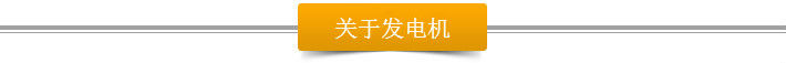 上海闪威汽油发电机厂家质保三年质优价廉 发电机厂家,发电机型号,发电机报价,闪威发电机