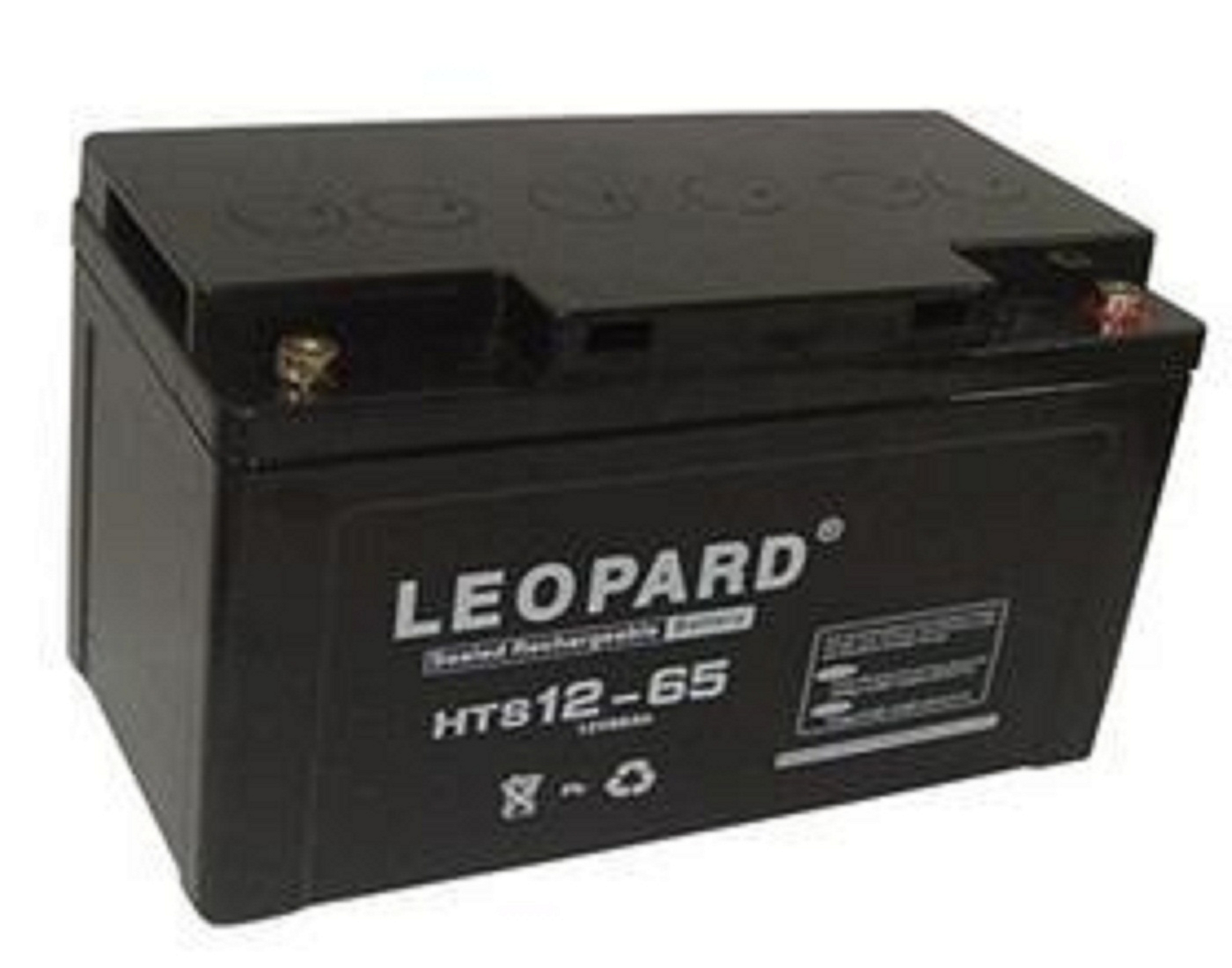 LEOPARD HTS12-65美洲豹蓄電池12V65AH HTS12-65,美洲豹,LEOPARD,蓄電池,12V65AH