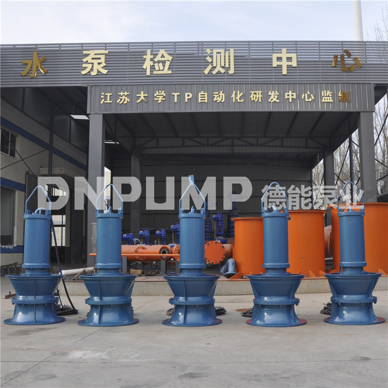 泵站重建潛水軸流泵/潛水軸流泵廠家 軸流泵,天津,現(xiàn)貨