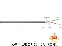 电缆PTYA23 48芯 铁路信号电缆 电缆PTYA23 48芯 铁路信号电缆,电缆PTYA23 48芯 铁路信号电缆,电缆PTYA23 48芯 铁路信号电缆