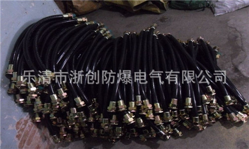 BNG-20*1000橡胶防爆挠性连接管 防爆挠性连接管,防爆连接管,防爆挠性管,防爆软管