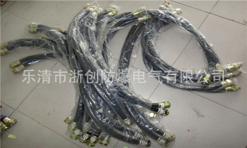 BNG-20*1000橡胶防爆挠性连接管 防爆挠性连接管,防爆连接管,防爆挠性管,防爆软管