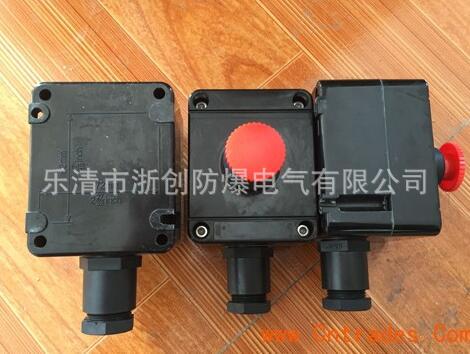 BXMD8030-12K防爆防腐照明(动力)配电箱 防爆防腐照明(动力)配电箱,防爆防腐配电箱,防爆照明(动力)配电箱,防爆防腐照明配电箱,防爆防腐动力配电箱