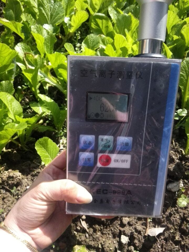 便捷式空气负氧离子检测仪 负离子检测仪,负离子,空气负离子检测仪,空气负离子浓度仪