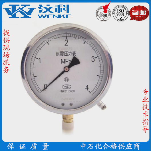 耐震压力表YTN-100 不锈钢压力表 隔膜耐震 压力表,不锈钢压力表,耐震压力表,YTN-100,隔膜耐震压力表