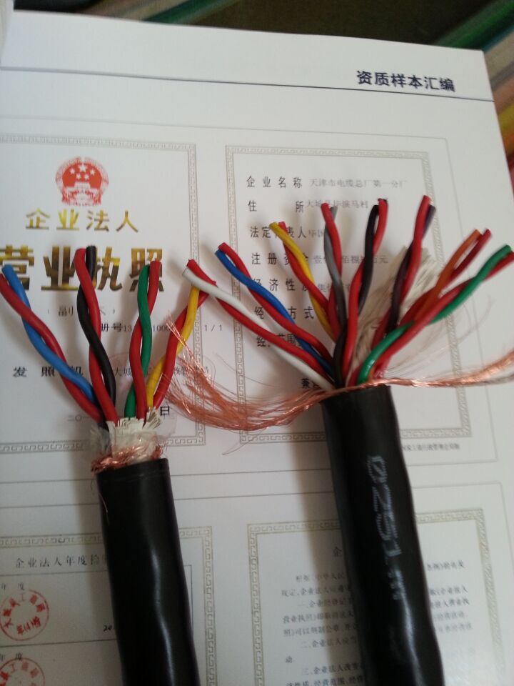 控制电缆KVVP22 控制电缆KVVP22,控制电缆KVVP22,控制电缆KVVP22,控制电缆KVVP22