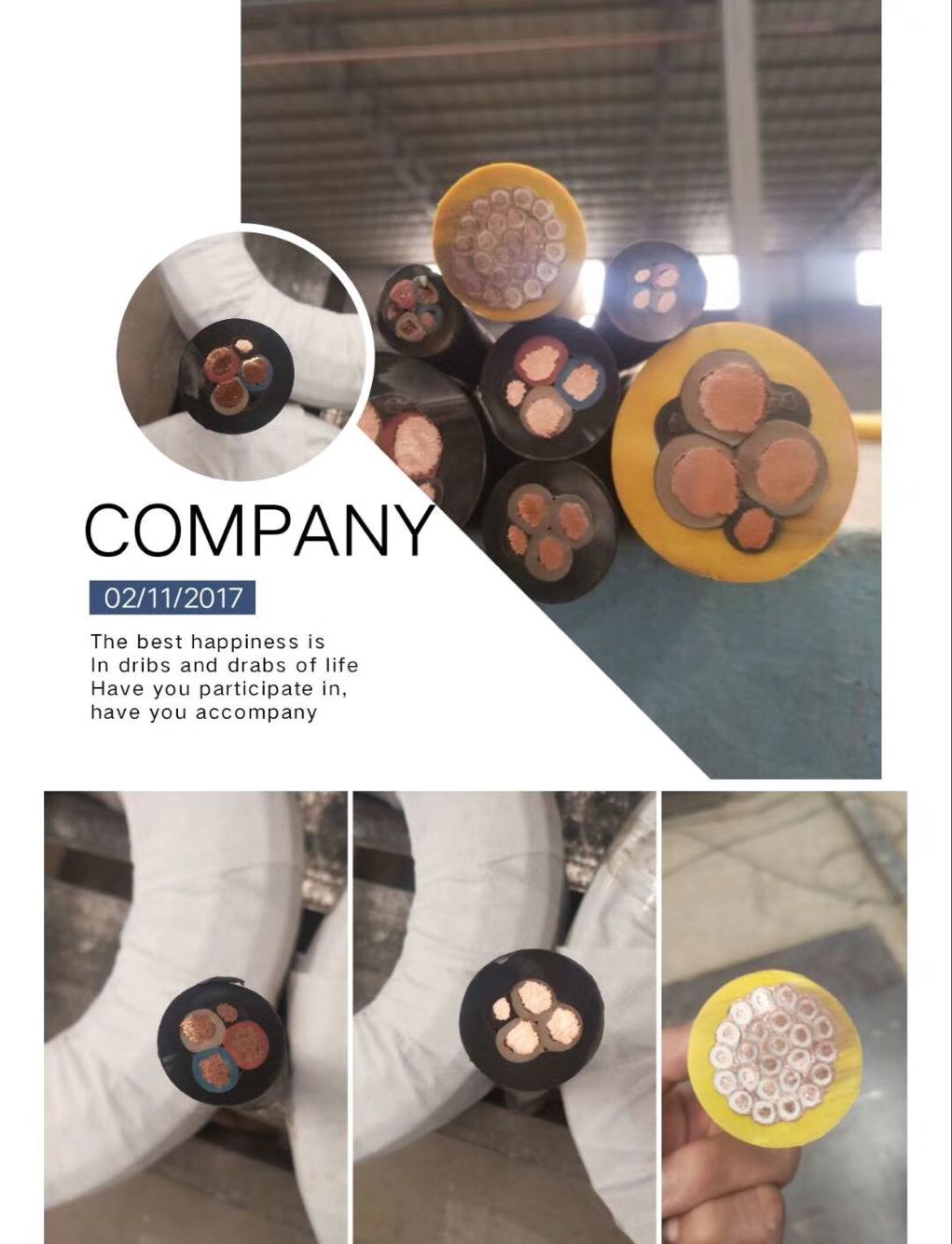 天津市电缆总厂橡塑电缆厂-销售部 MY矿用电缆,MC采煤机电缆,JHS防水电缆