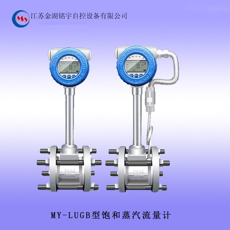 MY-LUGB系列饱和蒸汽流量计 饱和蒸汽流量计,饱和蒸汽流量计,饱和蒸汽流量计