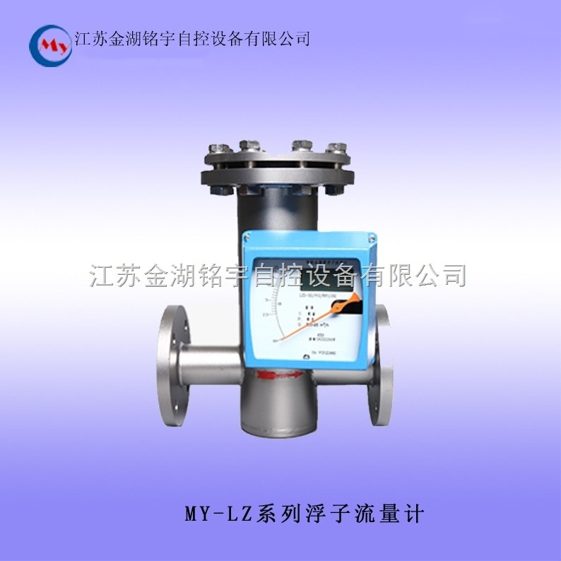 MY-LZ系列浮子流量计 浮子流量计,浮子流量计,流量计