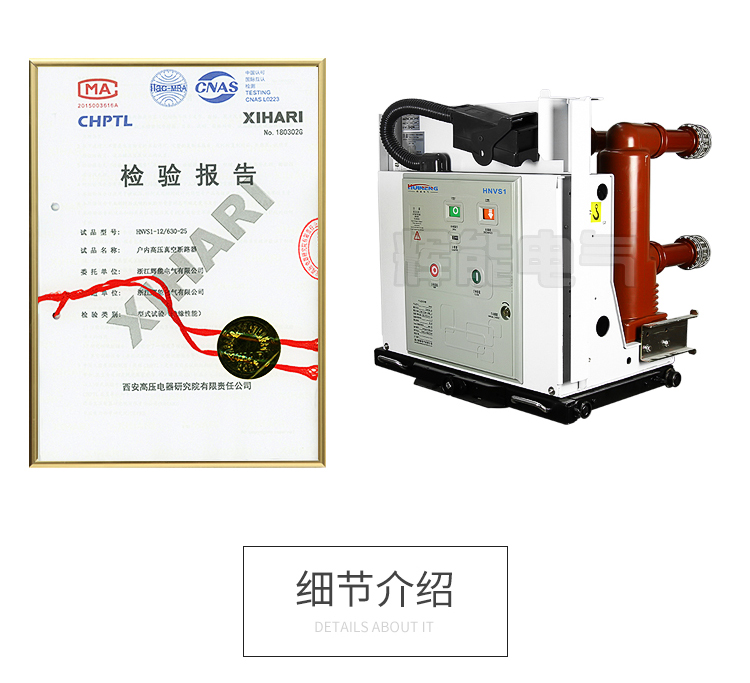 供应辉能电气ZN63(VS1)-12G手车固封式户内高压真空断路器10KV高压断路器 ZN63,VS1,固封式户内高压真空断路器,高压真空断路器,户内高压真空断路器